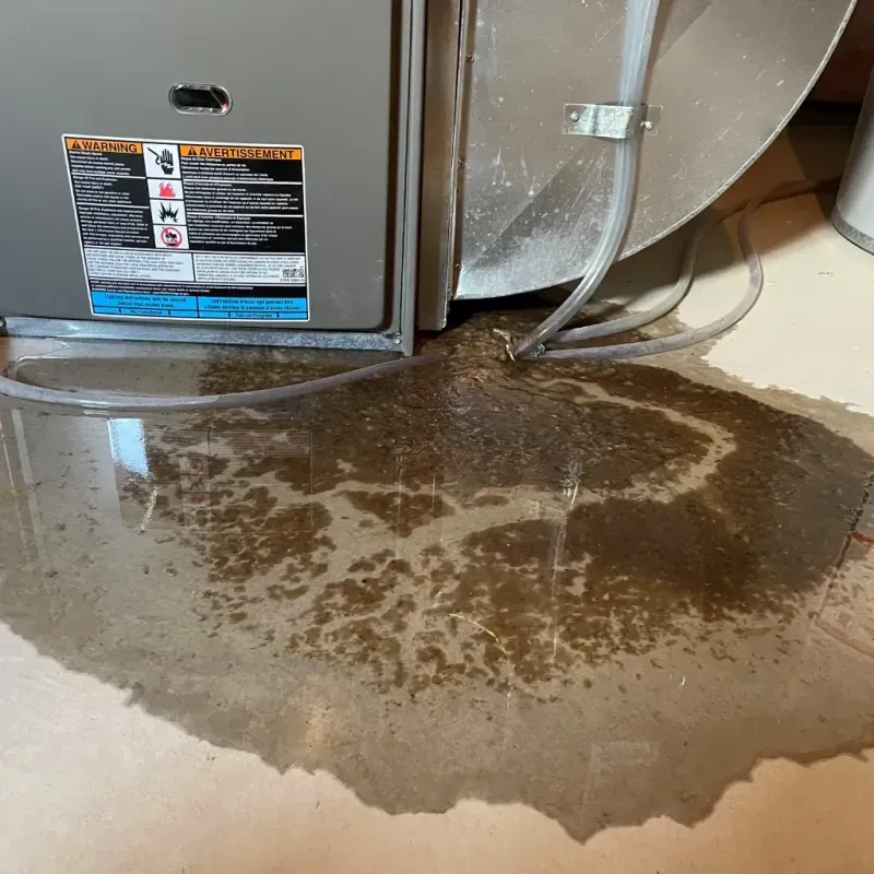 Appliance Leak Cleanup in Rochester, NH